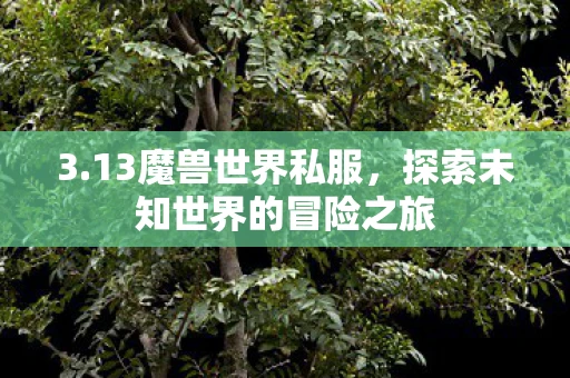 3.13魔兽世界私服，探索未知世界的冒险之旅