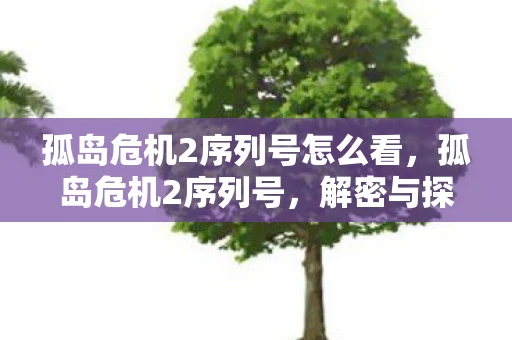 孤岛危机2序列号怎么看，孤岛危机2序列号，解密与探讨