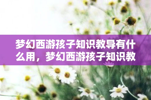梦幻西游孩子知识教导有什么用，梦幻西游孩子知识教导全解析