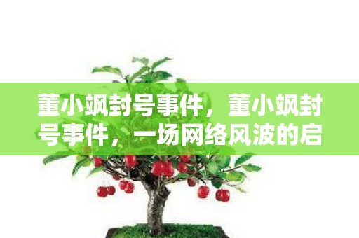 董小飒封号事件，董小飒封号事件，一场网络风波的启示