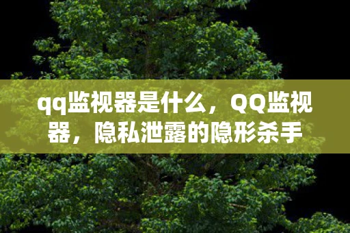 qq监视器是什么，QQ监视器，隐私泄露的隐形杀手