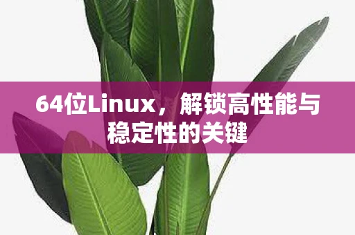 64位Linux，解锁高性能与稳定性的关键