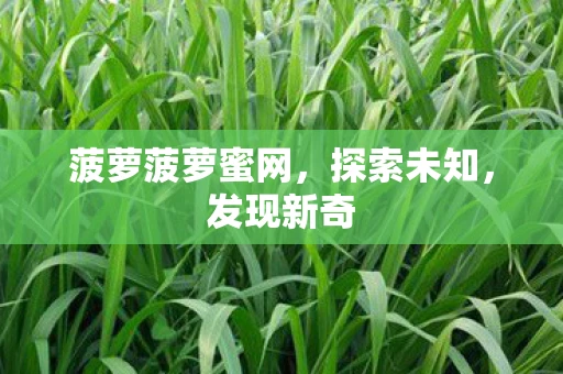 菠萝菠萝蜜网，探索未知，发现新奇