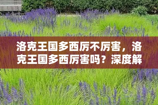 洛克王国多西厉不厉害，洛克王国多西厉害吗？深度解析这位神秘角色的实力与魅力