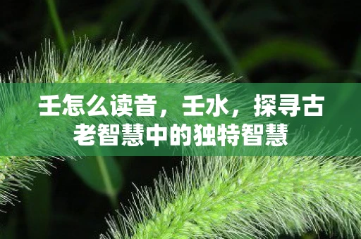 壬怎么读音，壬水，探寻古老智慧中的独特智慧