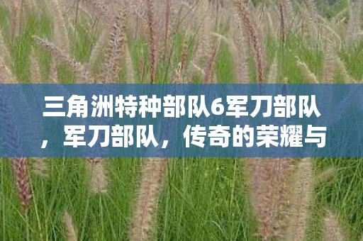 三角洲特种部队6军刀部队，军刀部队，传奇的荣耀与牺牲