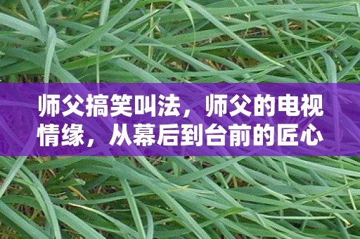 师父搞笑叫法，师父的电视情缘，从幕后到台前的匠心之旅