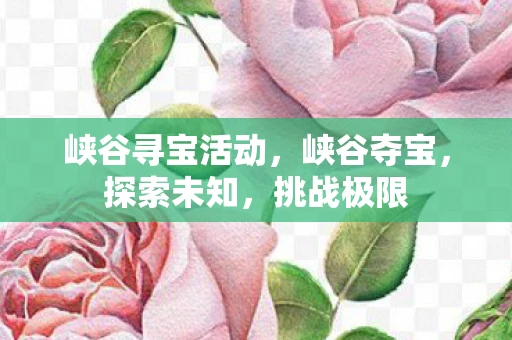 峡谷寻宝活动，峡谷夺宝，探索未知，挑战极限