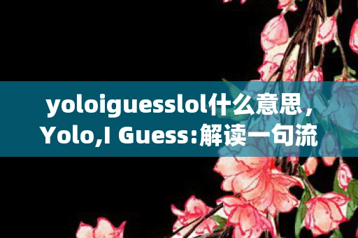 yoloiguesslol什么意思，Yolo,I Guess:解读一句流行语背后的文化现象