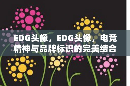 EDG头像，EDG头像，电竞精神与品牌标识的完美结合