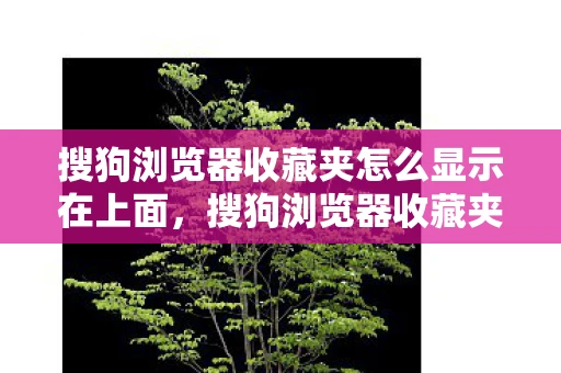 搜狗浏览器收藏夹怎么显示在上面，搜狗浏览器收藏夹，你的数字生活小助手
