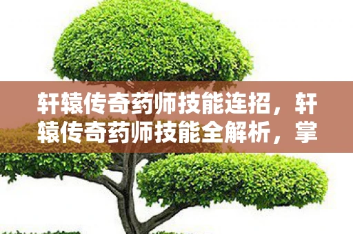 轩辕传奇药师技能连招，轩辕传奇药师技能全解析，掌握治愈之力，成为团队中的守护神