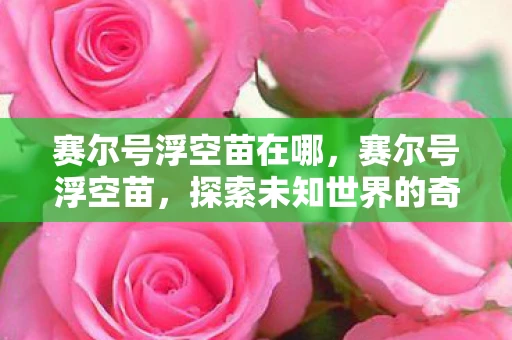 赛尔号浮空苗在哪，赛尔号浮空苗，探索未知世界的奇妙之旅