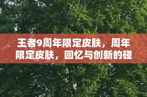 王者9周年限定皮肤，周年限定皮肤，回忆与创新的碰撞