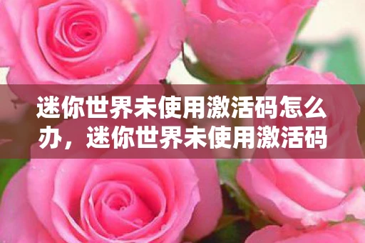 迷你世界未使用激活码怎么办，迷你世界未使用激活码，解锁无限创意的钥匙