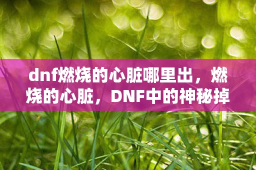 dnf燃烧的心脏哪里出，燃烧的心脏，DNF中的神秘掉落与探索