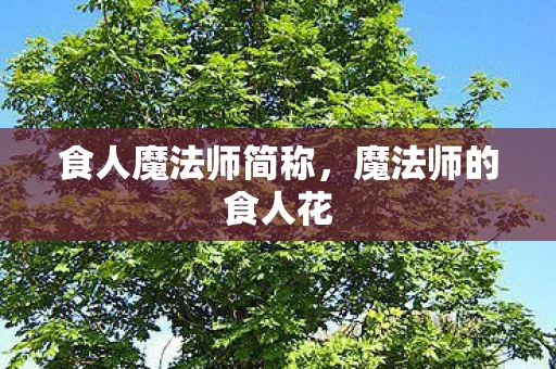 食人魔法师简称，魔法师的食人花