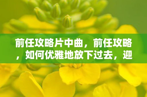 前任攻略片中曲，前任攻略，如何优雅地放下过去，迎接未来