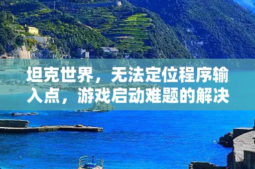 坦克世界，无法定位程序输入点，游戏启动难题的解决之道