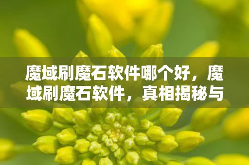 魔域刷魔石软件哪个好，魔域刷魔石软件，真相揭秘与风险警示