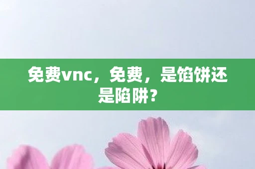 免费vnc，免费，是馅饼还是陷阱？