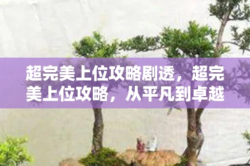 超完美上位攻略剧透，超完美上位攻略，从平凡到卓越的蜕变之路
