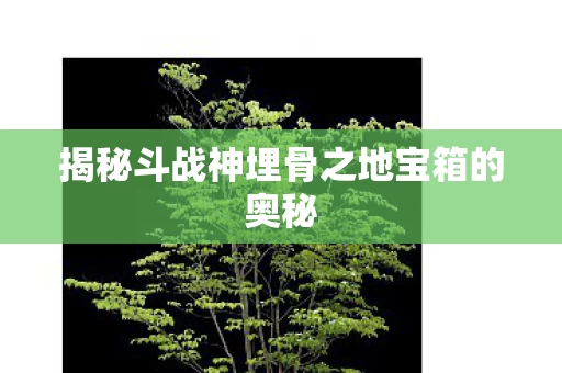 揭秘斗战神埋骨之地宝箱的奥秘图片