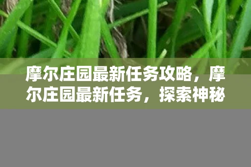 摩尔庄园最新任务攻略，摩尔庄园最新任务，探索神秘岛屿，解锁全新剧情