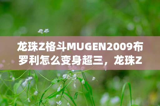 龙珠Z格斗MUGEN2009布罗利怎么变身超三，龙珠Z格斗Mugen2009，重温经典，再战一次！