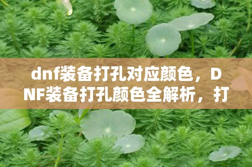 dnf装备打孔对应颜色，DNF装备打孔颜色全解析，打造个性化角色，点亮你的战斗之路