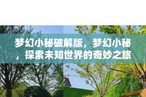 梦幻小秘破解版，梦幻小秘，探索未知世界的奇妙之旅