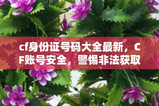 cf身份证号码大全最新，CF账号安全，警惕非法获取身份证号码的骗局