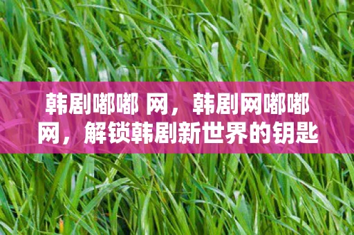 韩剧嘟嘟 网，韩剧网嘟嘟网，解锁韩剧新世界的钥匙