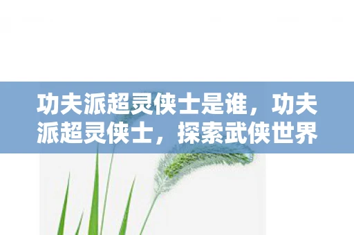 功夫派超灵侠士是谁，功夫派超灵侠士，探索武侠世界的奇幻之旅