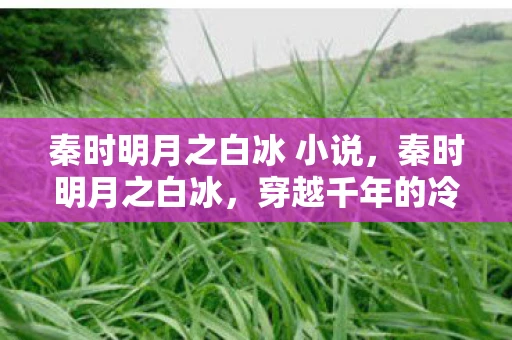 秦时明月之白冰 小说，秦时明月之白冰，穿越千年的冷艳传奇