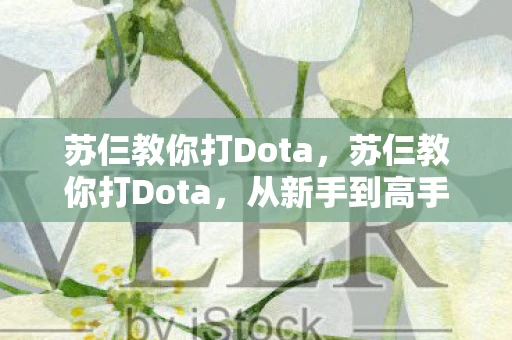 苏仨教你打Dota，苏仨教你打Dota，从新手到高手的进阶之路
