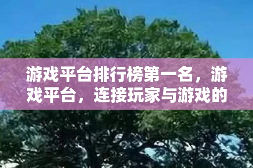 游戏平台排行榜第一名，游戏平台，连接玩家与游戏的桥梁