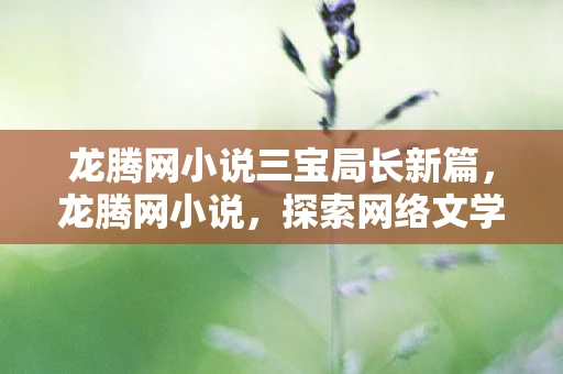 龙腾网小说三宝局长新篇，龙腾网小说，探索网络文学的无限可能