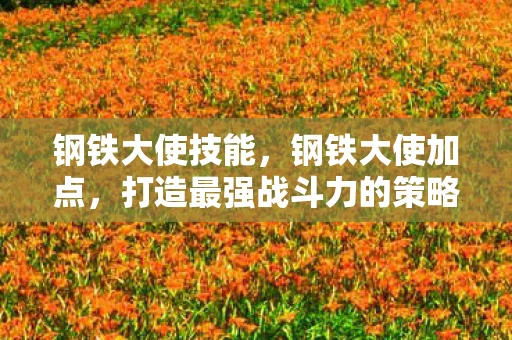 钢铁大使技能，钢铁大使加点，打造最强战斗力的策略指南