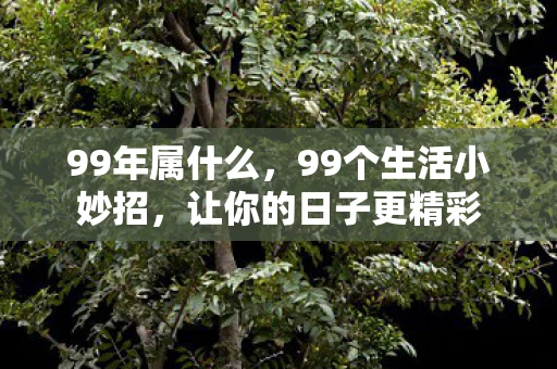 99年属什么，99个生活小妙招，让你的日子更精彩