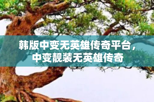 韩版中变无英雄传奇平台，中变靓装无英雄传奇
