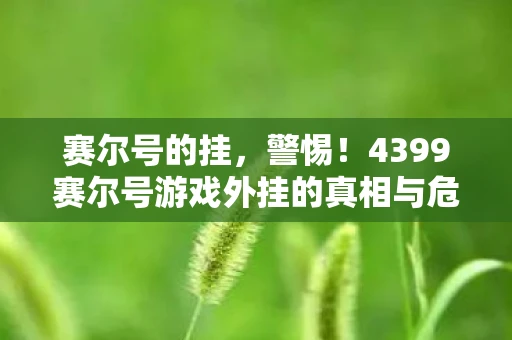 赛尔号的挂，警惕！4399赛尔号游戏外挂的真相与危害