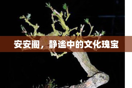 安安阁，静谧中的文化瑰宝