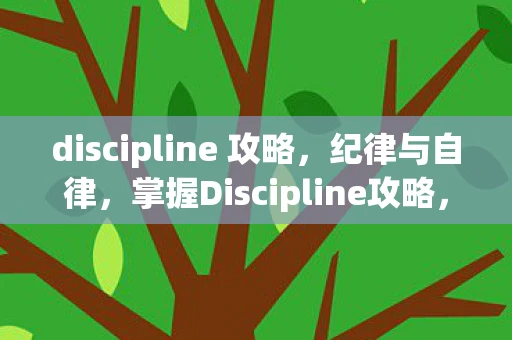 discipline 攻略，纪律与自律，掌握Discipline攻略，成就卓越人生