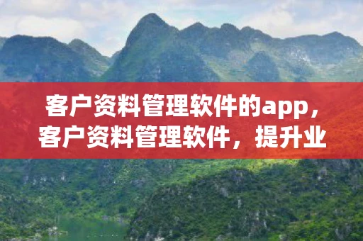 客户资料管理软件的app，客户资料管理软件，提升业务效率的关键工具