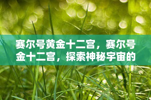 赛尔号黄金十二宫，赛尔号金十二宫，探索神秘宇宙的奇妙之旅