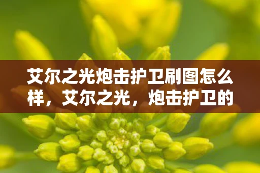 艾尔之光炮击护卫刷图怎么样，艾尔之光，炮击护卫的荣耀
