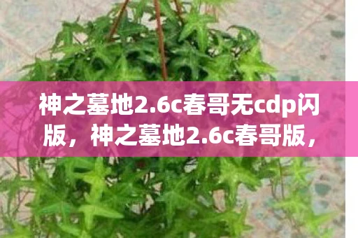 神之墓地2.6c春哥无cdp闪版，神之墓地2.6c春哥版，经典再现，传奇续写