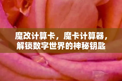 魔改计算卡，魔卡计算器，解锁数字世界的神秘钥匙