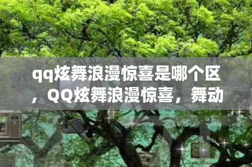 qq炫舞浪漫惊喜是哪个区，QQ炫舞浪漫惊喜，舞动青春，绽放浪漫